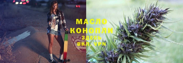 стаф Елабуга