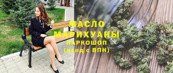spice Дмитриев