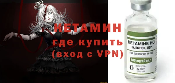 шишки Покачи