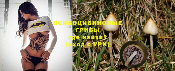шишки Покачи