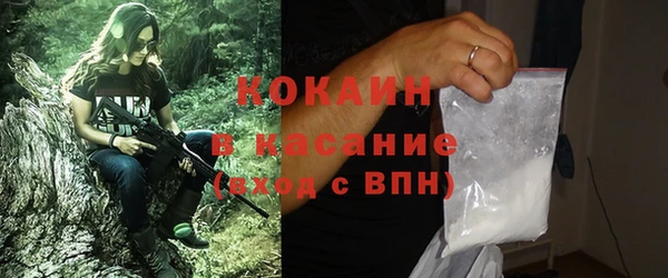 твердый Дмитров