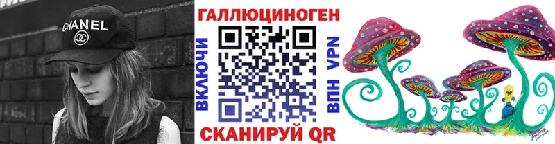 наркотики  Жердевка  дарк нет состав  Псилоцибиновые грибы мухоморы 