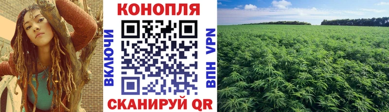 МАРИХУАНА THC 21% Жердевка